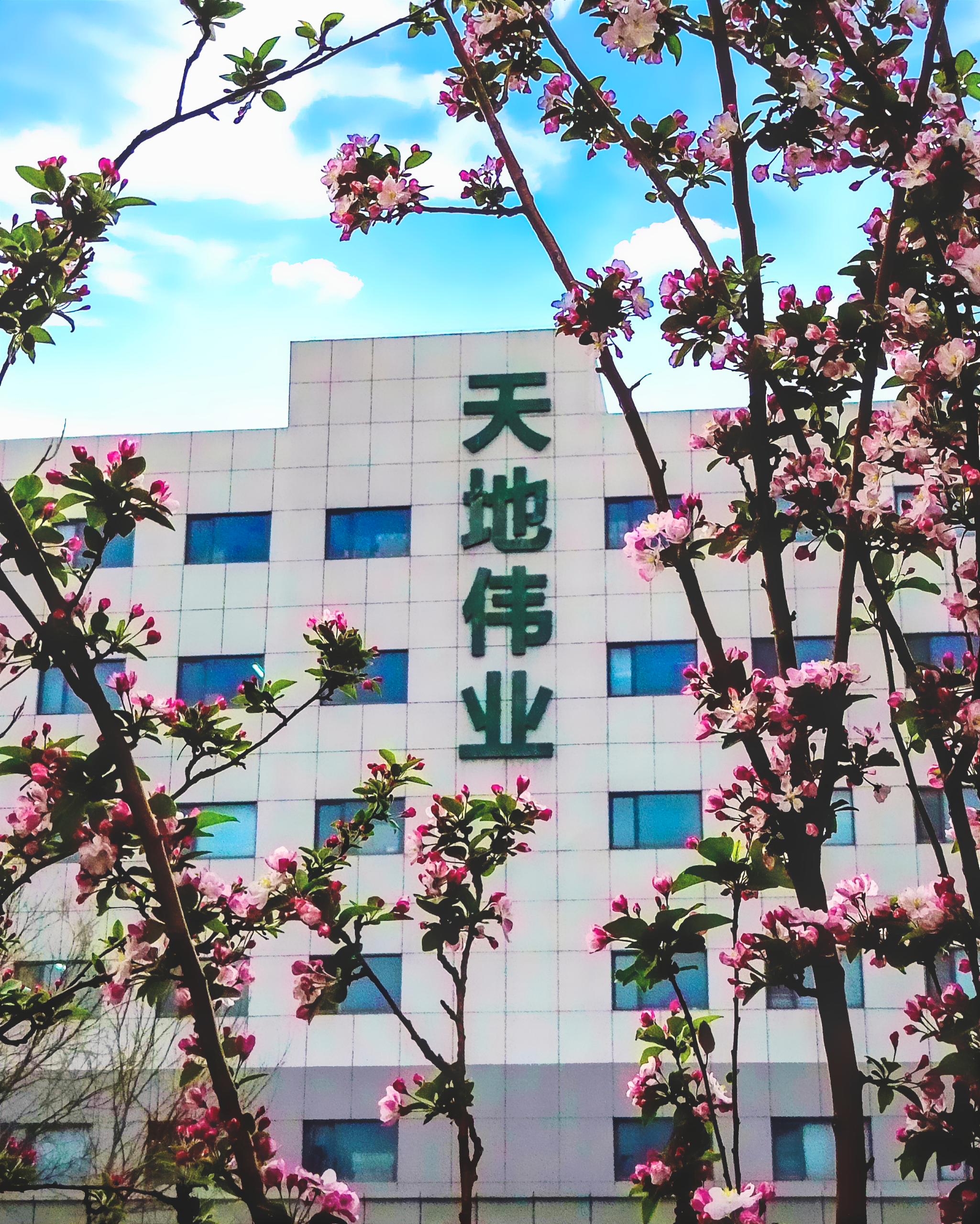 bti体育·(中国)官方网站APP下载
